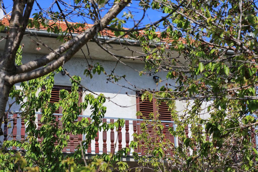 Apartment Ante Bibinje Esterno foto