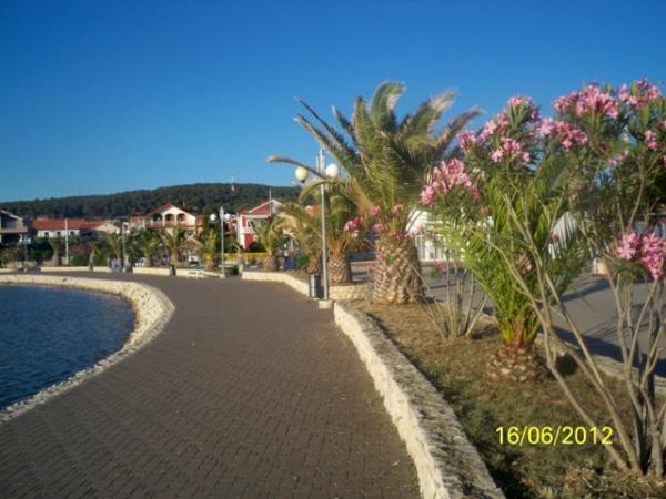 Apartment Ante Bibinje Esterno foto